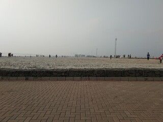 Obraz premium birds on the beach
