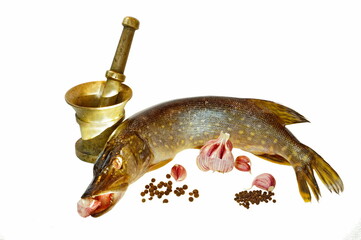 Common pike (Esox lucius). The photo also shows a bronze mortar, garlic, black pepper,...