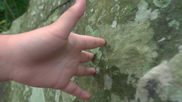Footage B roll of hand touching stone in nature at waterfall