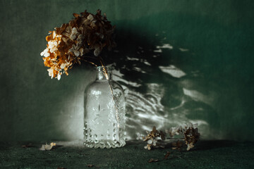 dry hydrangea stands in a vase on a dark background. High quality photo