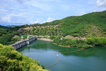 Fototapeta premium 夏の鳴淵ダム 福岡県篠栗町 Narufuchi Dam in summer Fukuoka-ken Sasaguri-town