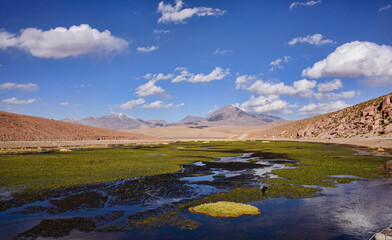 View of the Rio Blanco near El Tatio Geyser, San Pedro de Atacama, Chile
