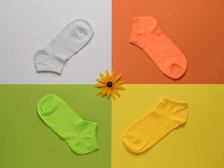 A flower and four colored short socks on a background of four colors.