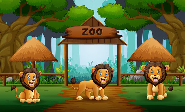 Cartoon three of lions at the open zoo