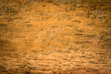 bark trunk texture abstract wood texture for background