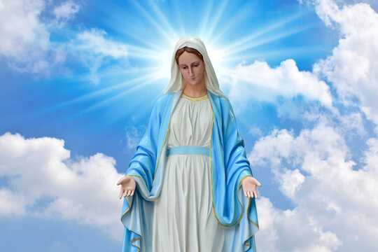 Virgin Mary Photos Download The BEST Free Virgin Mary Stock Photos  HD  Images