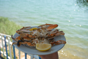 hand held of blue crabs food with sea background.