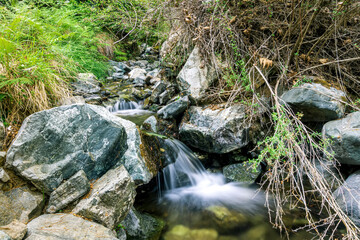 picturesque view at cascade of waterfalls in a mountain river flowing between trees, stones and rocks with grass on the steep sides of stream