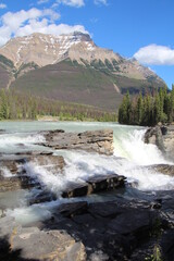 Fototapeta na wymiar Mountain Meets Waterfall, Jasper National Park, Alberta