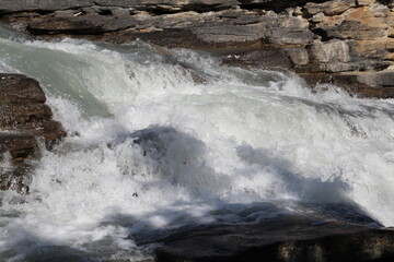 Athabasca Flow, Jasper National Park, Alberta