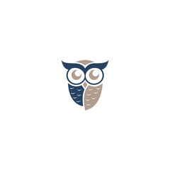 Fototapeta premium Simple modern owl logo template icon