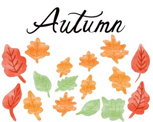 Autumn hand lettering and colorful leaves.