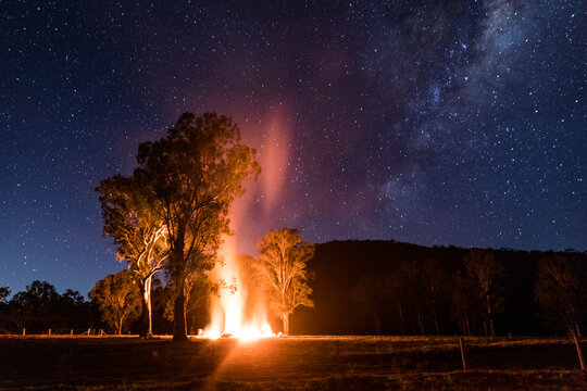 Night scene with a bonfire under some trees and the Milky Way