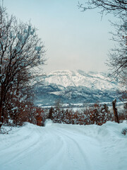 Snow Morning in Utah 