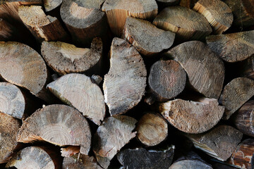 firewood prepared for the winter for heating the house 