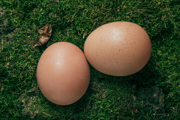 Chicken egg is prepared for cooking