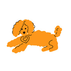 Yellow coloured dog isolated on white background