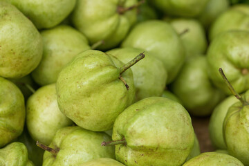 Guava fruit in the market