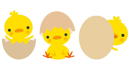 ひよこと卵の殻のイメージイラスト
