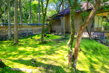 京都、西芳寺（苔寺）の庭園