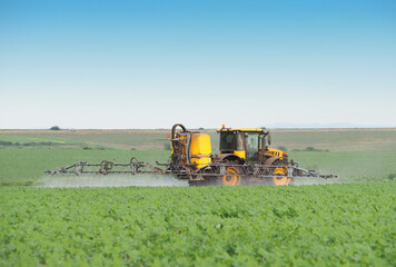 Tractor spraying pesticide on a field of young plant of sunflowers