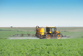 Fototapeta premium Tractor spraying pesticide on a field of young plant of sunflowers