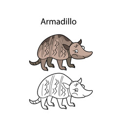 Funny cute animal armadillo isolated on white background. Linear, contour, black and white and colored version. Illustration can be used for coloring book and pictures for children