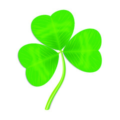 Fresh clover isolated on a white background. 3d rendering