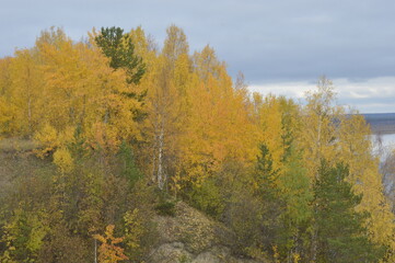 Fototapeta na wymiar Beautiful and bright autumn landscape.