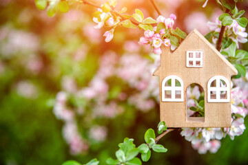 Symbol of the house on the branches of a flowering apple

