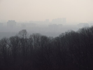 Miasto we mgle na tle lasu jesienią