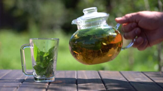Healthy nettle tea in a glass tea pot and mug in the summer garden on wooden table. Close up herbal tea from the green petals of nettle on nature background