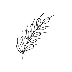 Hand drawn grain malt in doodle style. Vector illustration isolated on white background. For poster with production process brewery of beer ot whiskey. Oktofest design element. EPS 10.