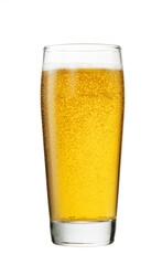 Glass of fresh beer isolated on white background with clipping path