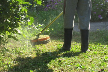 gardener mows grass cutting in the garden with trimmer. weed cutting machine for working in the...