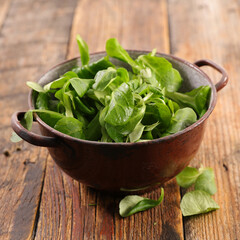green corn salad leaves- lamb's lettuce