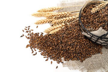 Malted barley in a basket with ears on sacking, white background