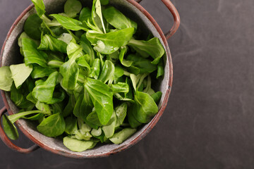 green corn salad leaves- lamb's lettuce