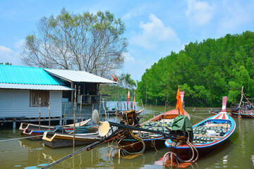 Obraz premium Fisherman's Village with Hua Tong Boats or Long-tailed Boat , South of Thailand