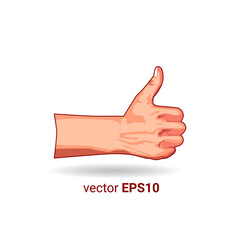 thumbs up hand illustration vector image