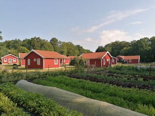 Fototapeta na wymiar Cute colorful countryside houses in the farmlands of Sweden