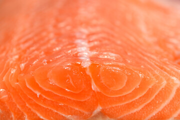 Salmon fillet