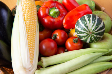 夏野菜がわが家へやってきた　