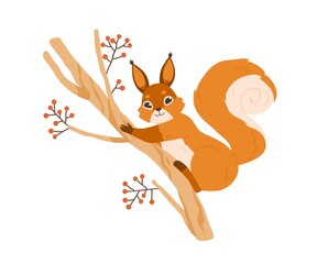 Cute happy squirrel on rowan tree branch. Adorable funny animal with fluffy tail on twig. Flat vector illustration of wild forest rodent with orange fur isolated on white background © Good Studio