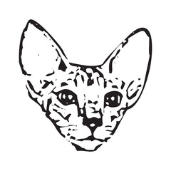 Vector of a cat face design on white background, Pet. Animals in eps 10
