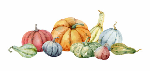 Watercolor vector festive autumn decor from colorful pumpkins.