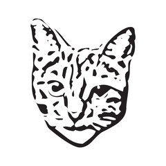 Fototapeta na wymiar Vector of a cat face design on white background, Pet. Animals in eps 10