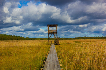 An ornithological tower against the background of a golden swamp (wheat color). Wildlife Refuge...