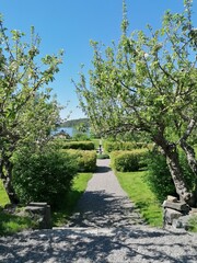 The romantic scenery in the coastal landscapes with beaches and hills in Southern Sweden, Scandinavia