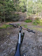 Mountain Bike steering wheel with a forest view